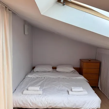 Cozy 索菲亞